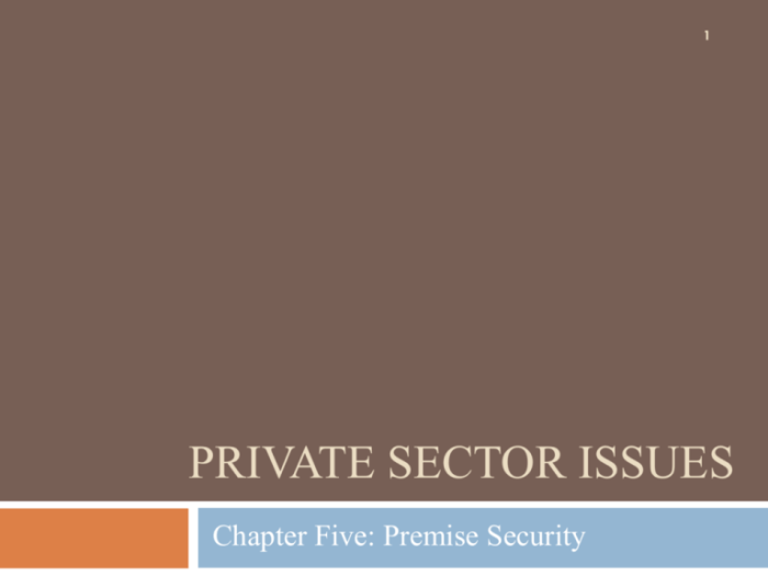 Private sector cant fix america essay