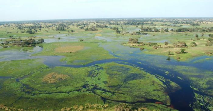 Best of Botswana: 5 things you didn't know Botswanas debswana curbs diamond production weak demand persists