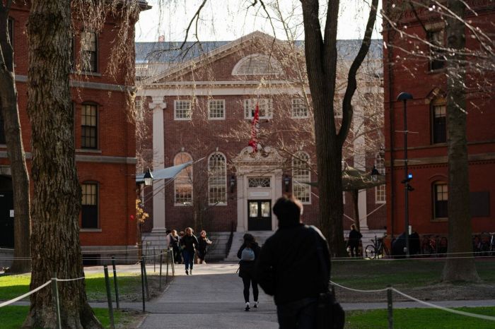 Trump's billion row with Harvard explained as university could lose ... Trump revoking harvard tax exempt status what that means