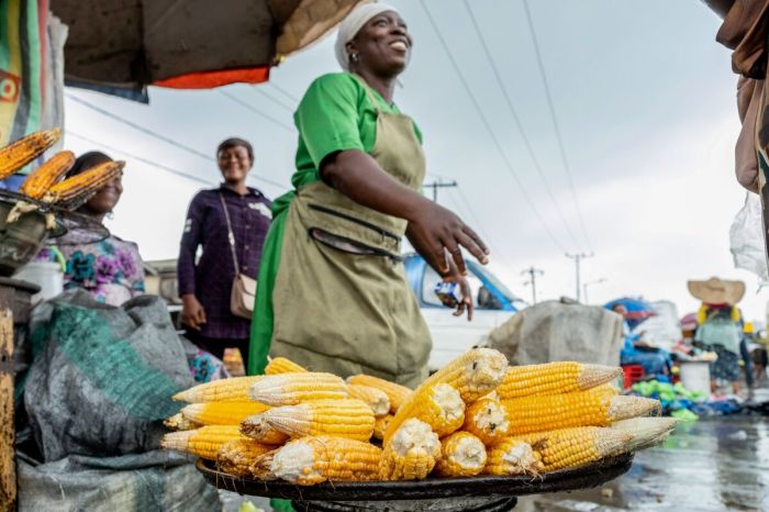 Addressing food crisis in Nigeria - Daily Trust Nigerias dog owners hit with surging pet food prices amid cost living crisis