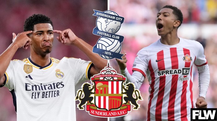 Sunderland: Jude Bellingham's two word message to Jobe after goal v ... Dortmund sign jobe bellingham sunderland five year deal