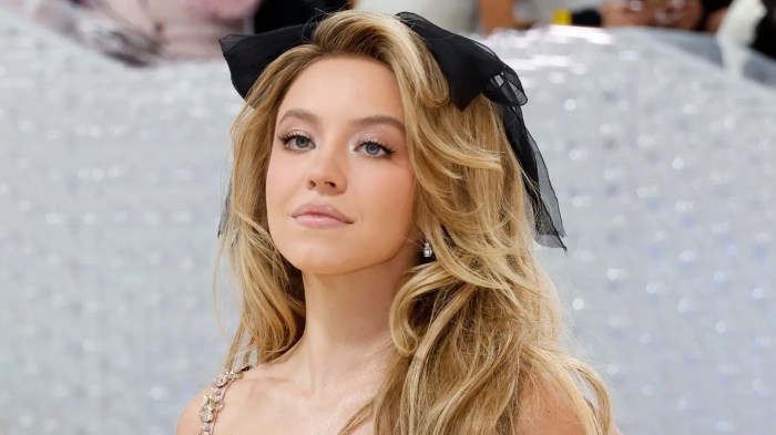 Sydney Sweeney Debuts Black Hair at Met Gala 2024: Photo 5037913 ... Sydney sweeney met gala kim novak