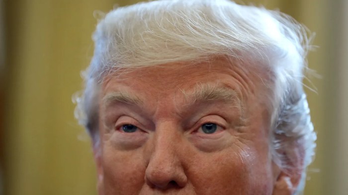 ECB says Trump tariffs would upend international trade, not inflation Trump tariffs uscit court international trade ruling appeal reactions explainer