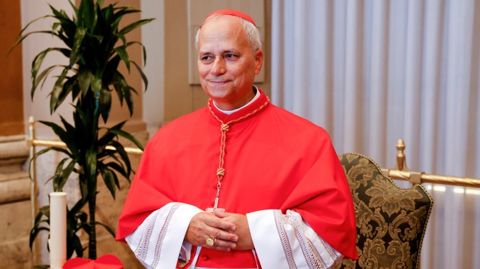 Bishops must promote communion, unity with pope, new U.S. cardinal says ... Pope leo robert prevost
