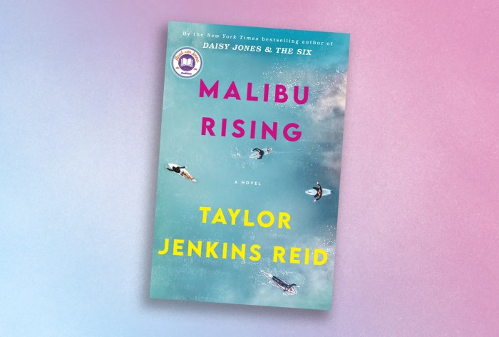 Taylor jenkins reid atmosphere interview