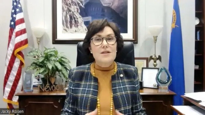 Jacky rosen interview democrats