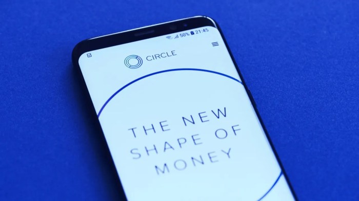 Stablecoin firm circle scales record high after blockbuster nyse listing