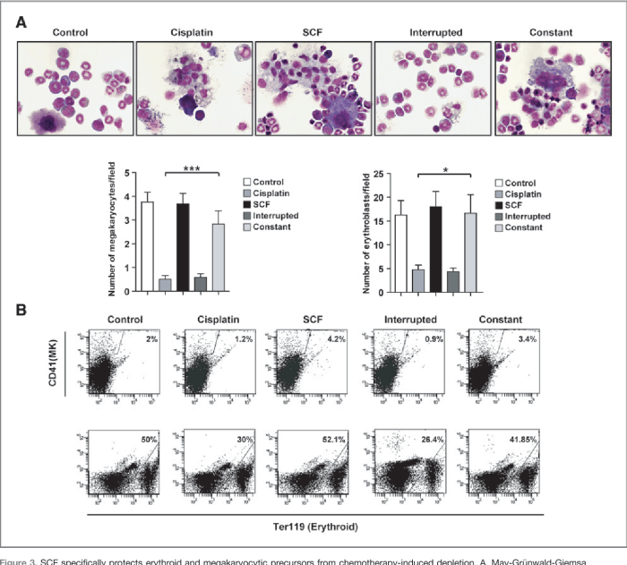 Health rounds amgen blood platelet booster helps patients who need chemotherapy
