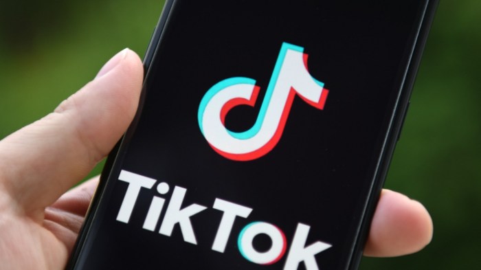 50 Amazing TikTok Video ideas for Small Businesses Tiktokers spend 27 hours stadium toilet watch champions league final free