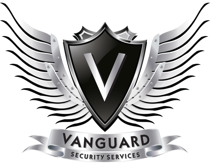 Vanguard files new ex china emerging markets etf