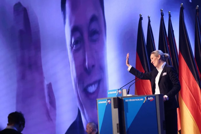 Elon Musk backs AfD as Germany's election stakes rise Germany high stakes election merz afd