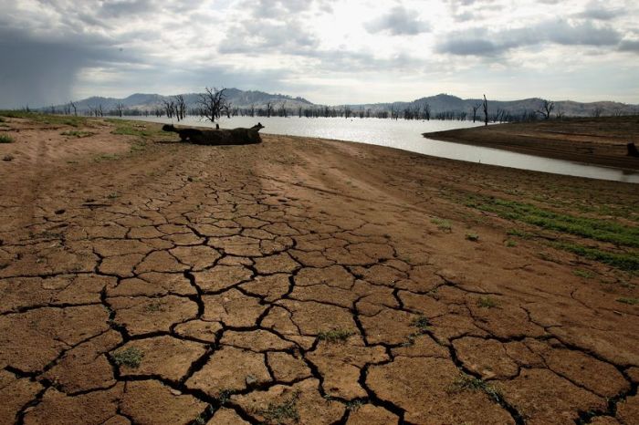 The Habitat Advocate » Blog Archive 'Water Buyback' can save Murray ... Drought bakes chinas wheat belt slashing harvests some