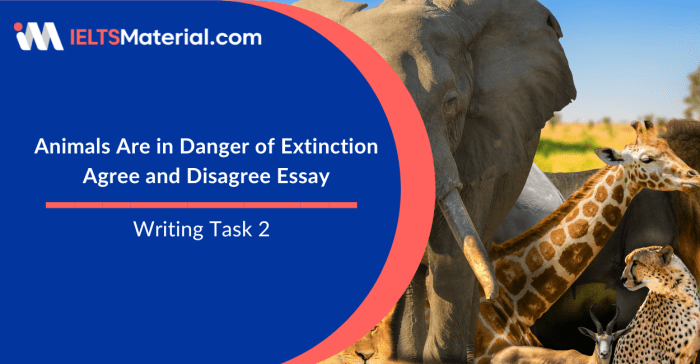 Animal Extinction Essay – Why Do Animals Vanish? America wildlife animals extinction essay