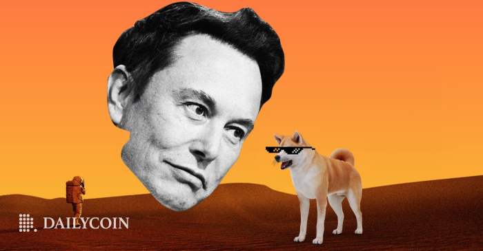 The End of the Elon Musk x Dogecoin (DOGE) Saga? - DailyCoin Elon musk doge opm