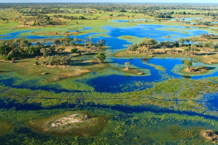 Botswana Travel Guide: Essential Facts and Information Botswanas debswana curbs diamond production weak demand persists