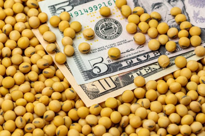 Crop watch corn improves soy health is lacking