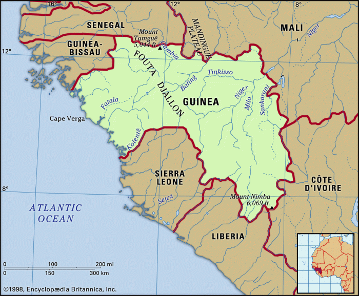 Guinea cancels 129 exploration permits further tightening control