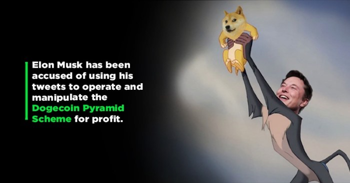 Elon Musk’s legal team asks judge to dismiss 8 billion Dogecoin lawsuit Trump musk doge court