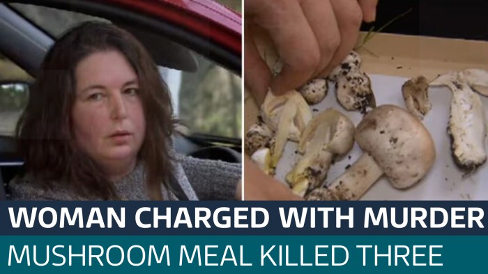 Australian woman in court on murder charges after mushroom lunch killed ... Australian mushroom murders accused gives her account fatal lunch