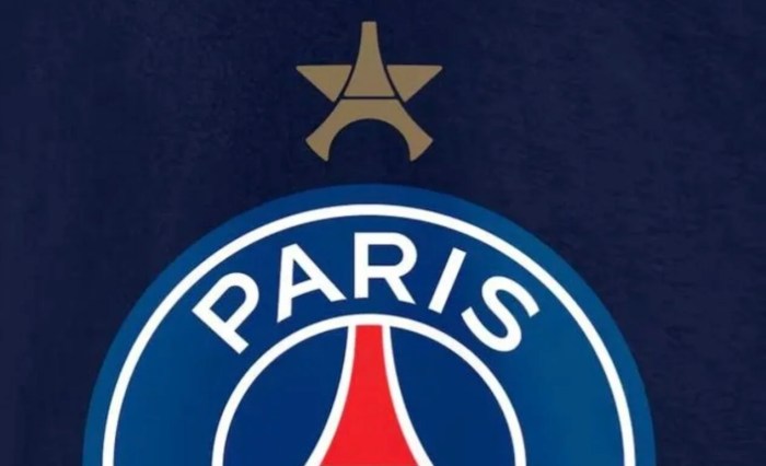Psg fans invade pitch souvenirs after champions league triumph