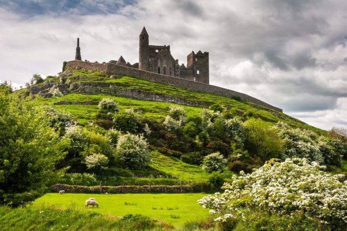 Welcome To Irish Around The World ☘️ The Best Site For All Things Irish Irish fintech nomupay gets 40 mln investment softbank