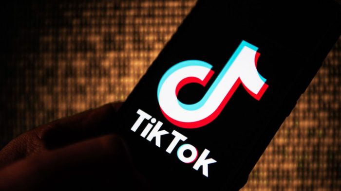 16-year-old girl dies attempting TikTok 'scarf game' challenge | World ... Tiktokers spend 27 hours stadium toilet watch champions league final free