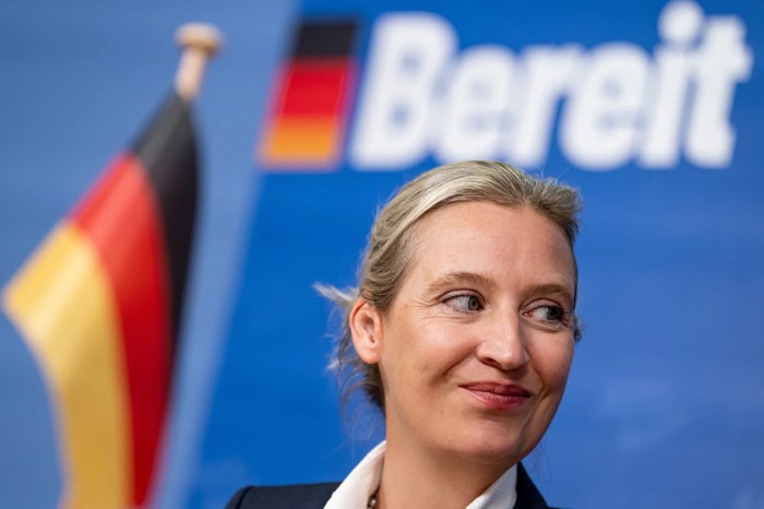 2024 European Parliament election in Germany poll : r/MapPorn Germany high stakes election merz afd