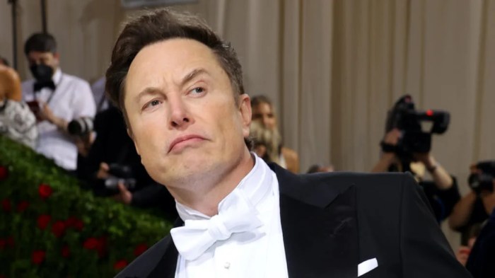 Twitter sues Elon Musk for ditching billion deal — who will come ... Elon musk gets more time respond us sec lawsuit over twitter stake