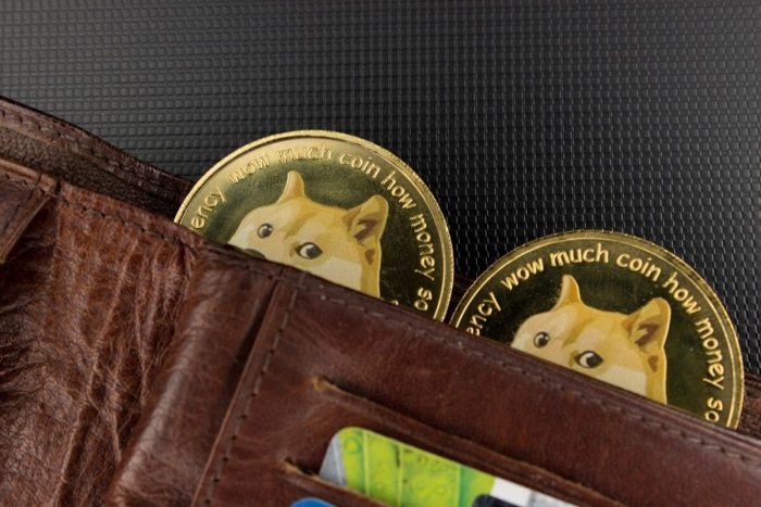 Doge Elon Musk - Czrfqkhgxkbqdm - He shouted out dogecoin in a tweet ... Elon musk doge opm