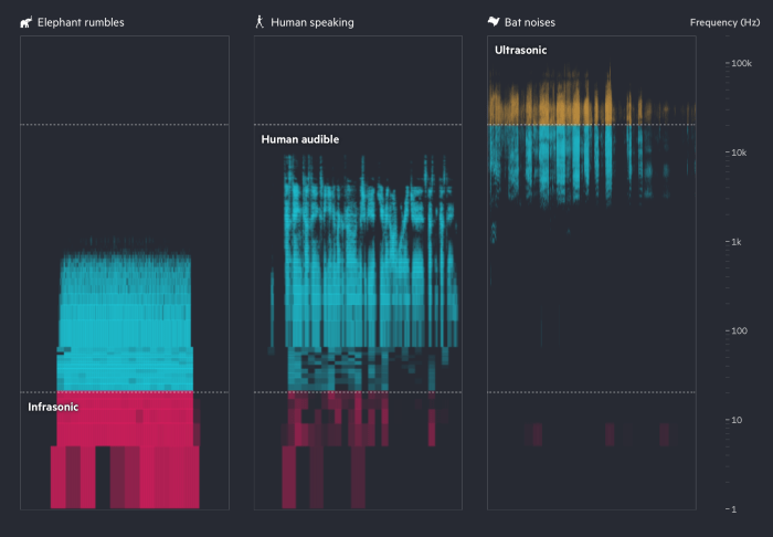 Decoding Animal Languages: The Role of AI in Animal Communication Using ai to understand what animals are saying