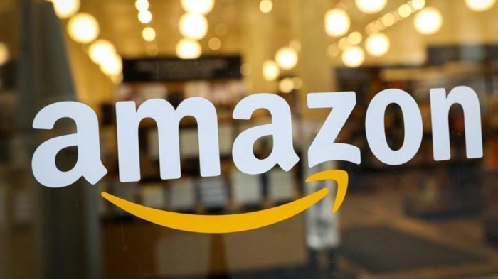 Amazon India offers Prime at half price to 18-24 year old customers ... Amazon south africa expands into groceries pet food health supplements