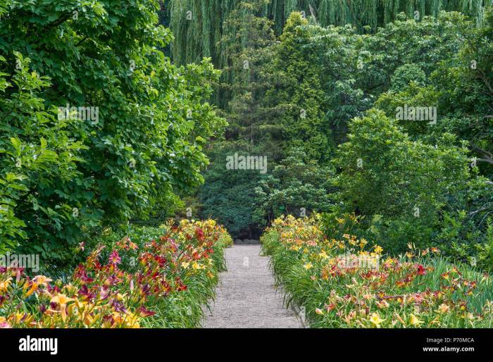 Botanical Gardens Wroclaw Lower Silesia Poland Stock Photo - Alamy Poland manager probierz resigns after row with lewandowski