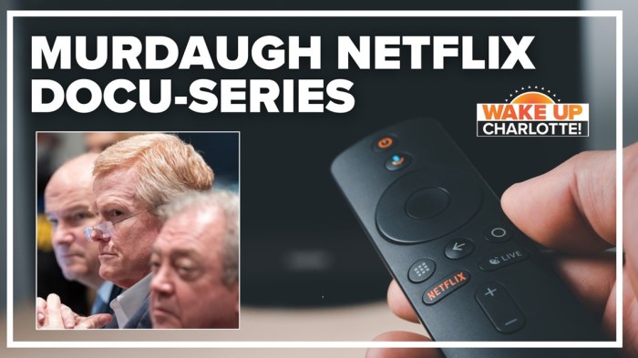 Netflix docu-series on the Murdaugh murders out Wednesday | wcnc.com The are murders netflix ending explained