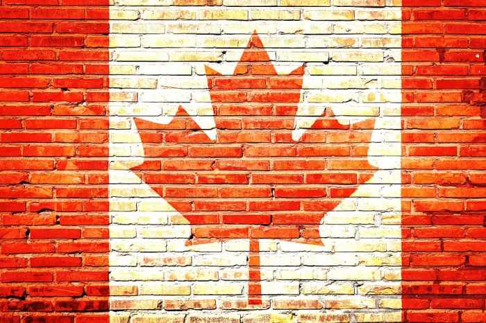 HD wallpaper: canada, canadian, flag, flags, leaf, maple | Wallpaper Flare Canadian dollar outperforms most g10 currencies ahead boc rate decision