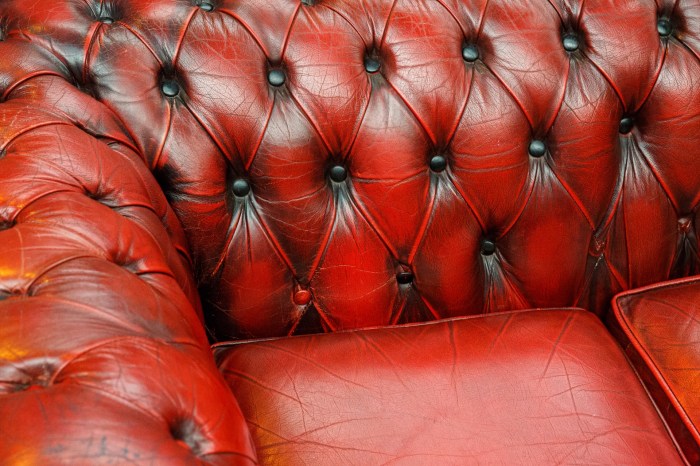 Chesterfield Sofa Detail Free Stock Photo - Public Domain Pictures Details emerge about new national bar exam with anticipation high