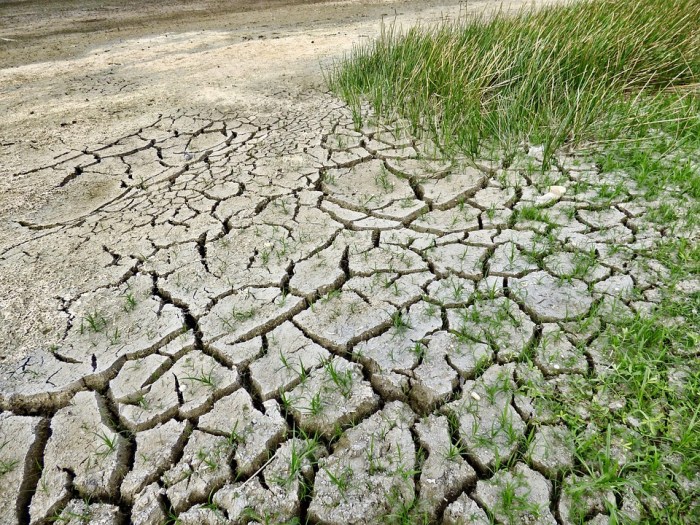 Climate Change Drought · Free photo on Pixabay Drought bakes chinas wheat belt slashing harvests some