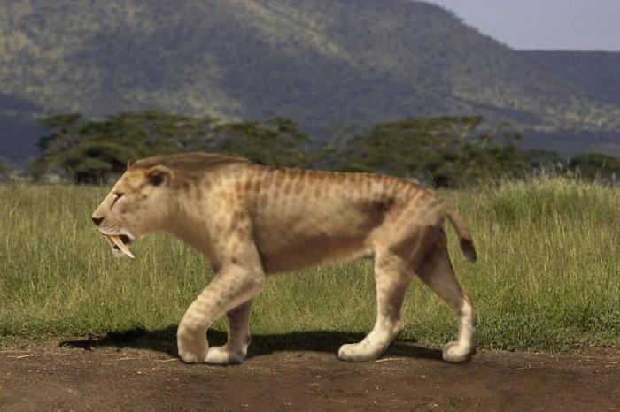 Meet All 12 Animals in the Ice Age Movie - NewsBreak All members vaccine advisory panel will be retired us health secretary kennedy