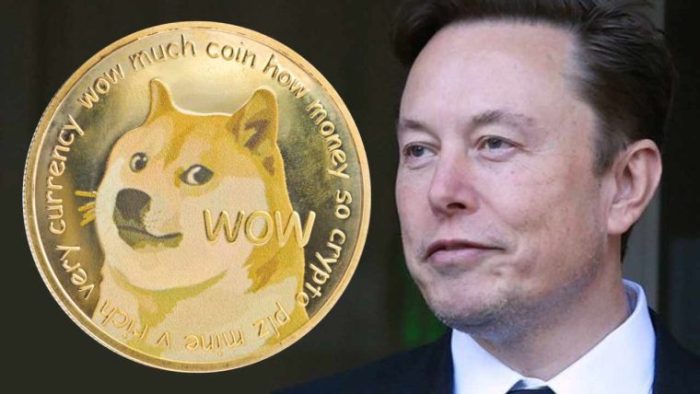 Dogecoin Investors Accuse Elon Musk of Insider Trading in Lawsuit Trump musk doge court