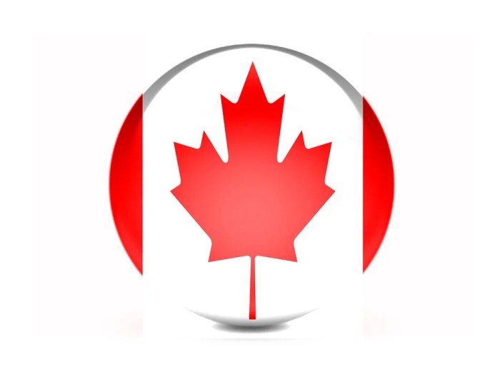 Flag Canada 3D · Free image on Pixabay Canadian teen mcintosh shatters 400 metres freestyle record