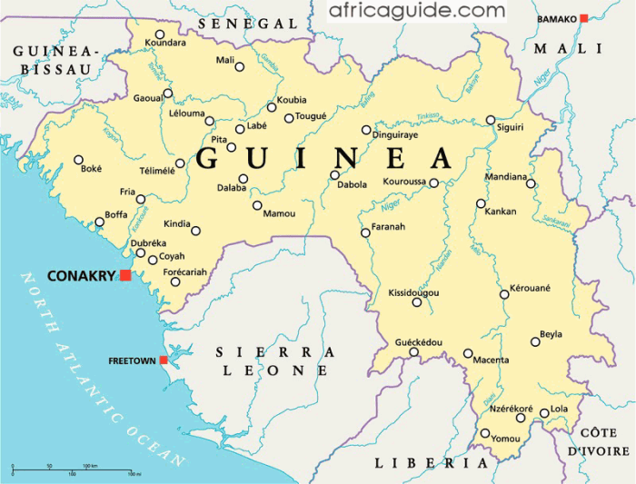 Guinea cancels 129 exploration permits further tightening control