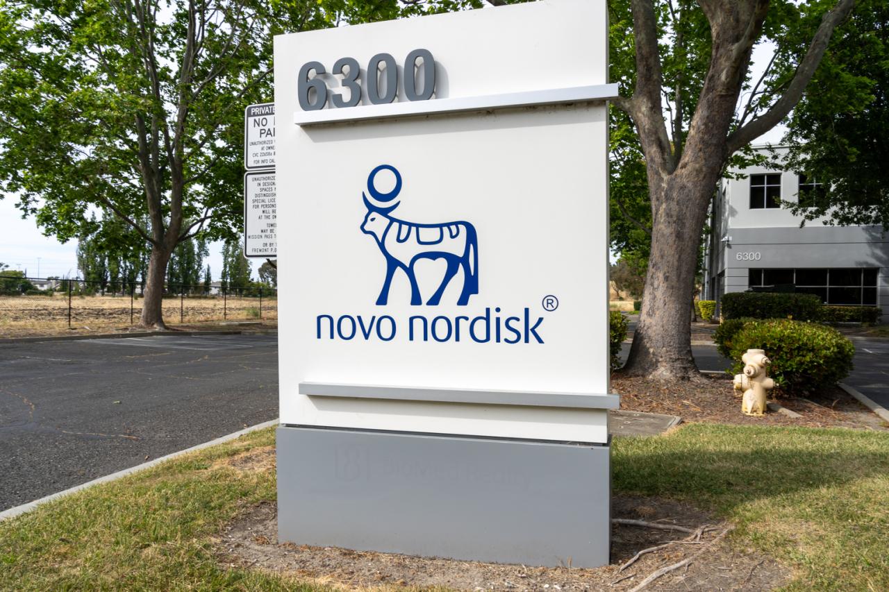 Who Owns Novo Nordisk: The Largest Shareholders Overview - KAMIL FRANEK ... Novo bancos shareholders change bylaws possible ipo sources say