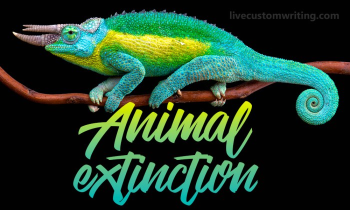Wildlife Extinction in Australia - 2902 Words | Essay Example America wildlife animals extinction essay