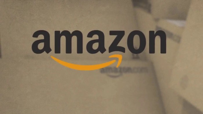 Judge declines to dismiss Amazon's Trump allegation Amazon tariff haul trump