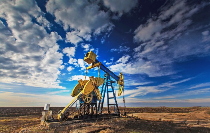 Comparing oils: Olive, coconut, canola, and vegetable oil Oil demand growth continue no peak sight opec secretary general says