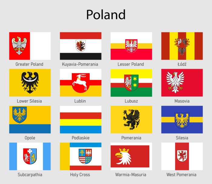 Set Flags of the voivodships of Poland, All Polish regions flag ... Polish central bank seen keeping rates steady wednesday