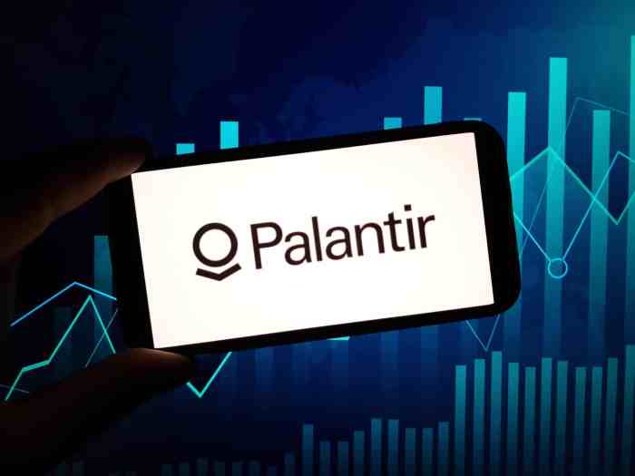 Palantir defies tech gloom trump momentum powers stellar share gains