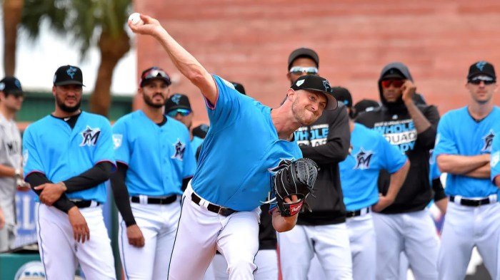 Marlins, Rays set to reopen facilities to players for individual ... Marlins hope scoring punch continues vs rays