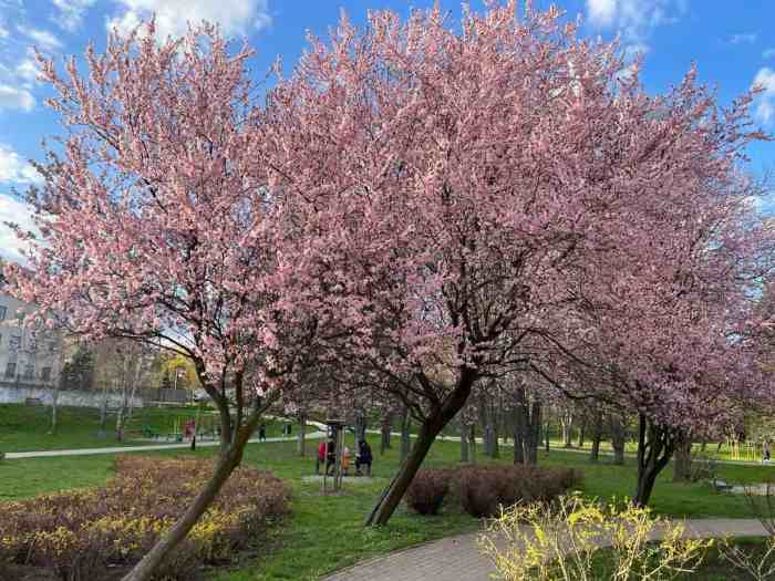 What To Pack For Poland? Poland Packing List. Polands pekao pzu sign memorandum potential merger