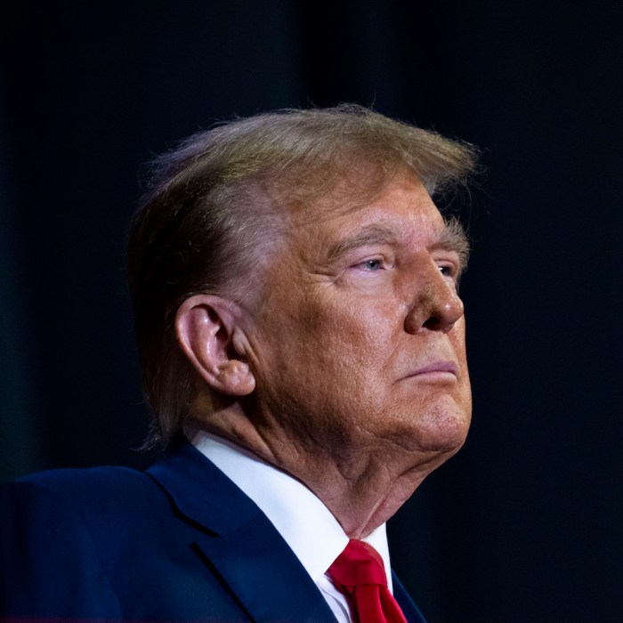 Us judge bars trump killing new york congestion program