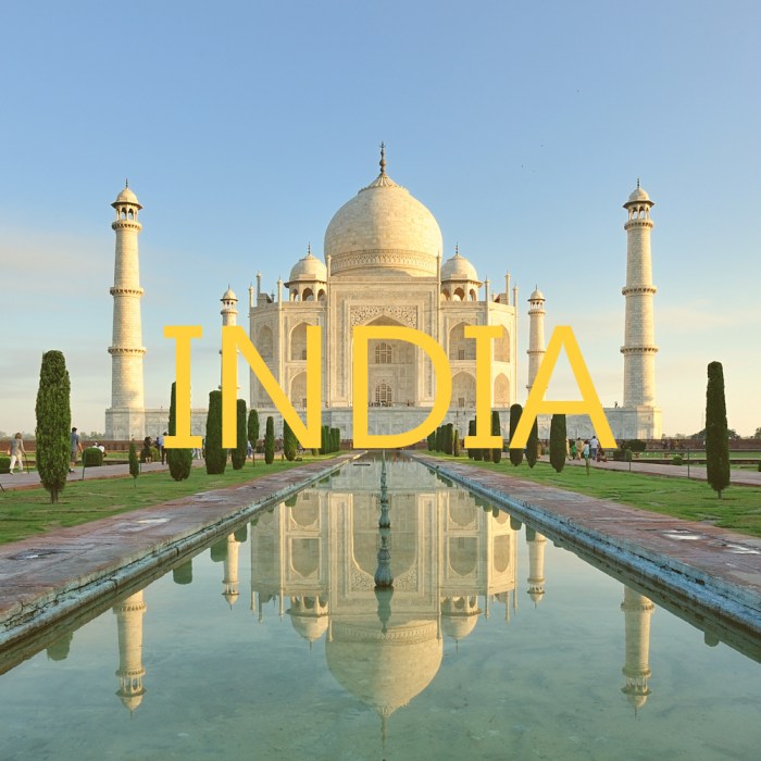 India central banks net income surges fy25 fx gains rise